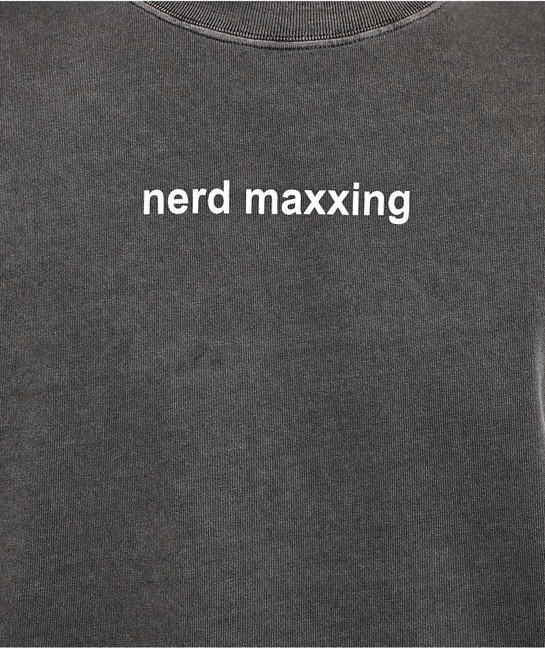 A.LAB Nerd Maxxing Vintage Grey T-Shirt
