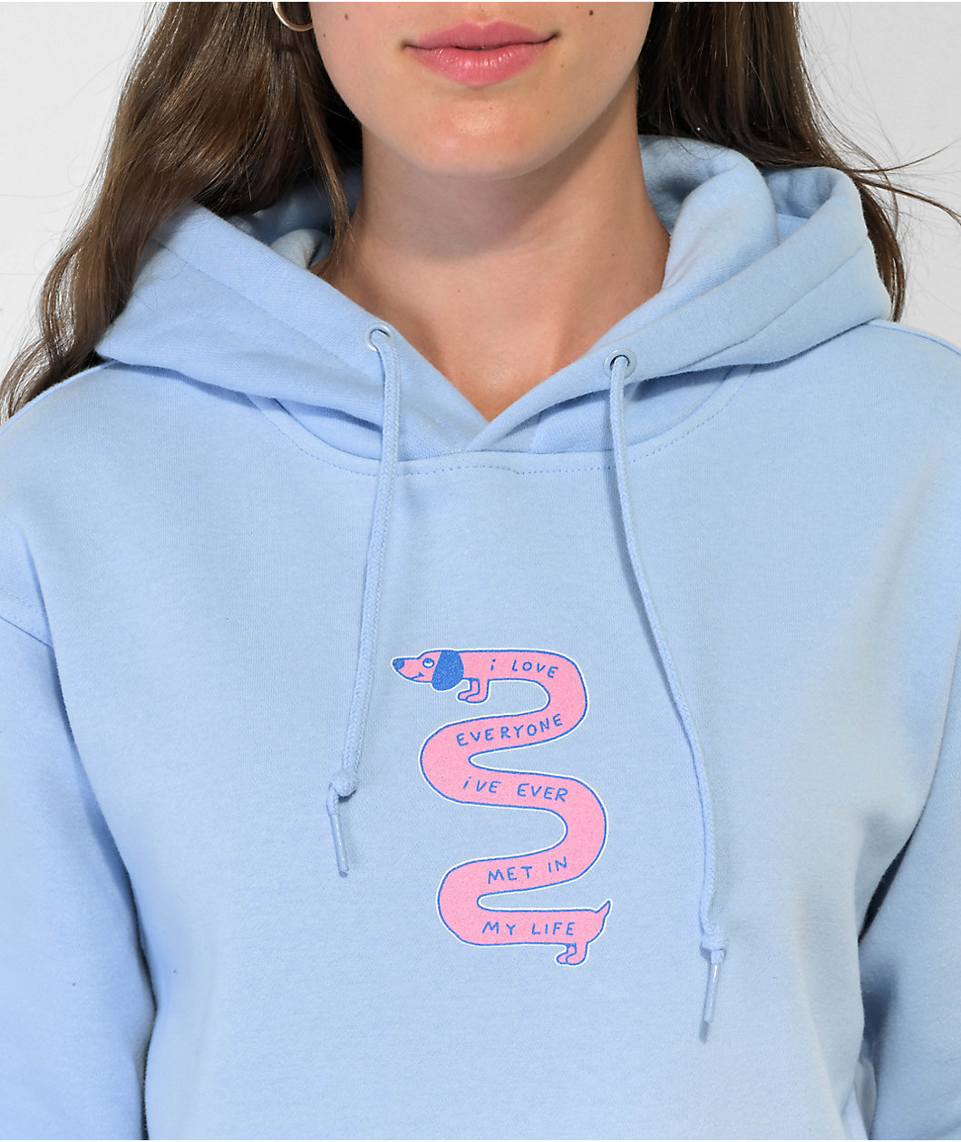 A.LAB Weenie Dog Light Blue Hoodie