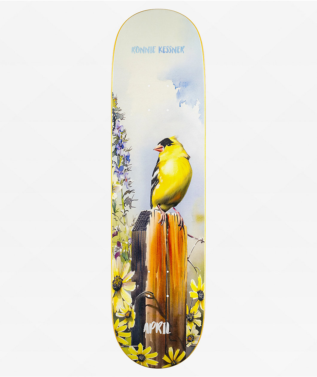 April Kessner Gold Finch 8.25" Skateboard Deck