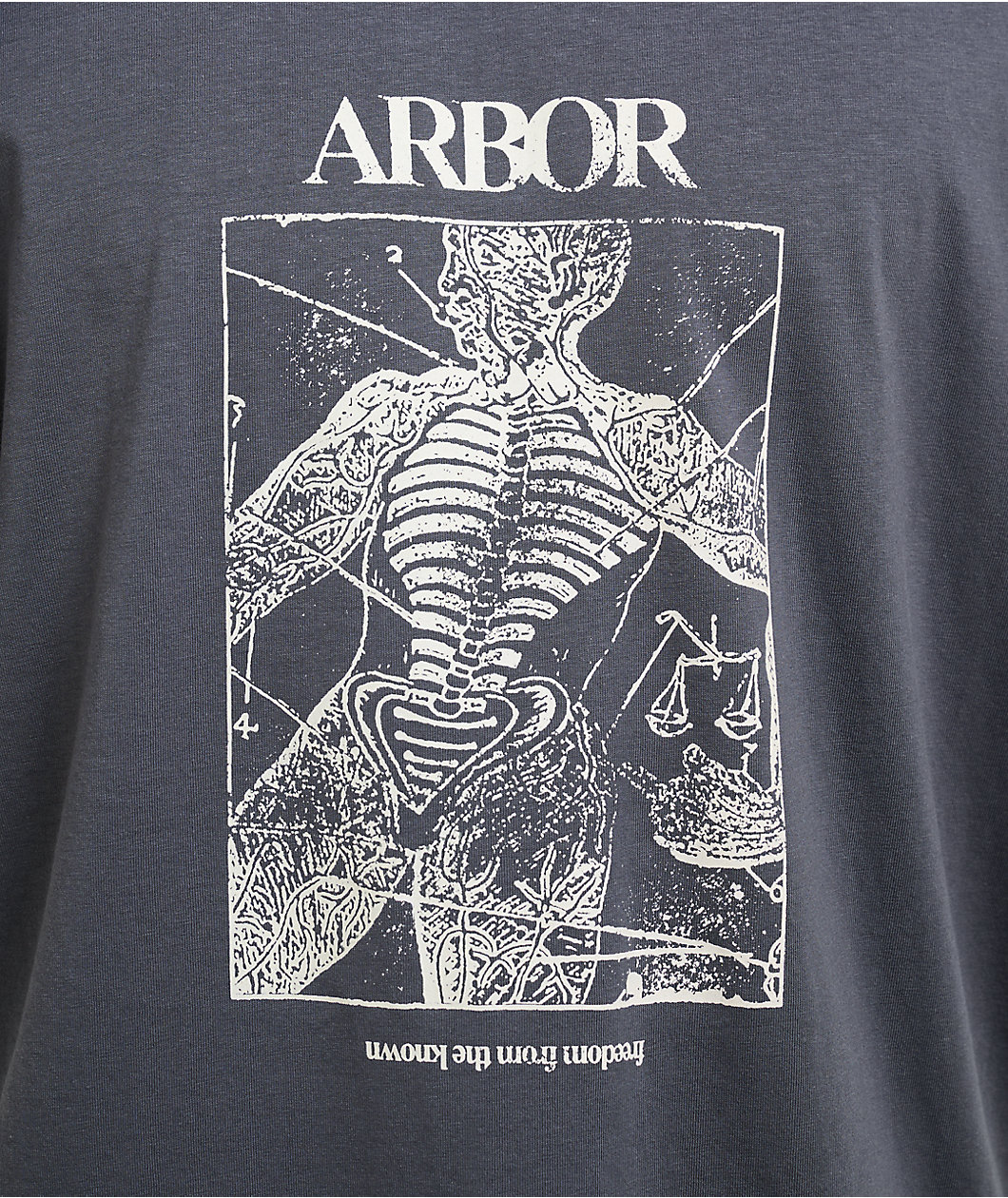 Arbor Anatomy Grey T-Shirt