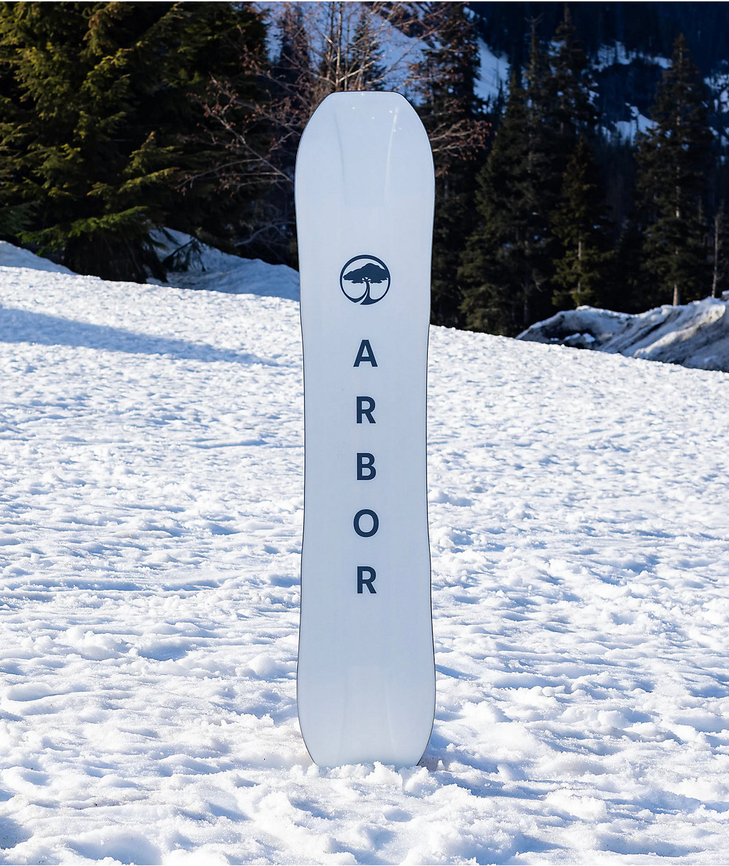 Arbor Terra Twin Camber Snowboard 2024