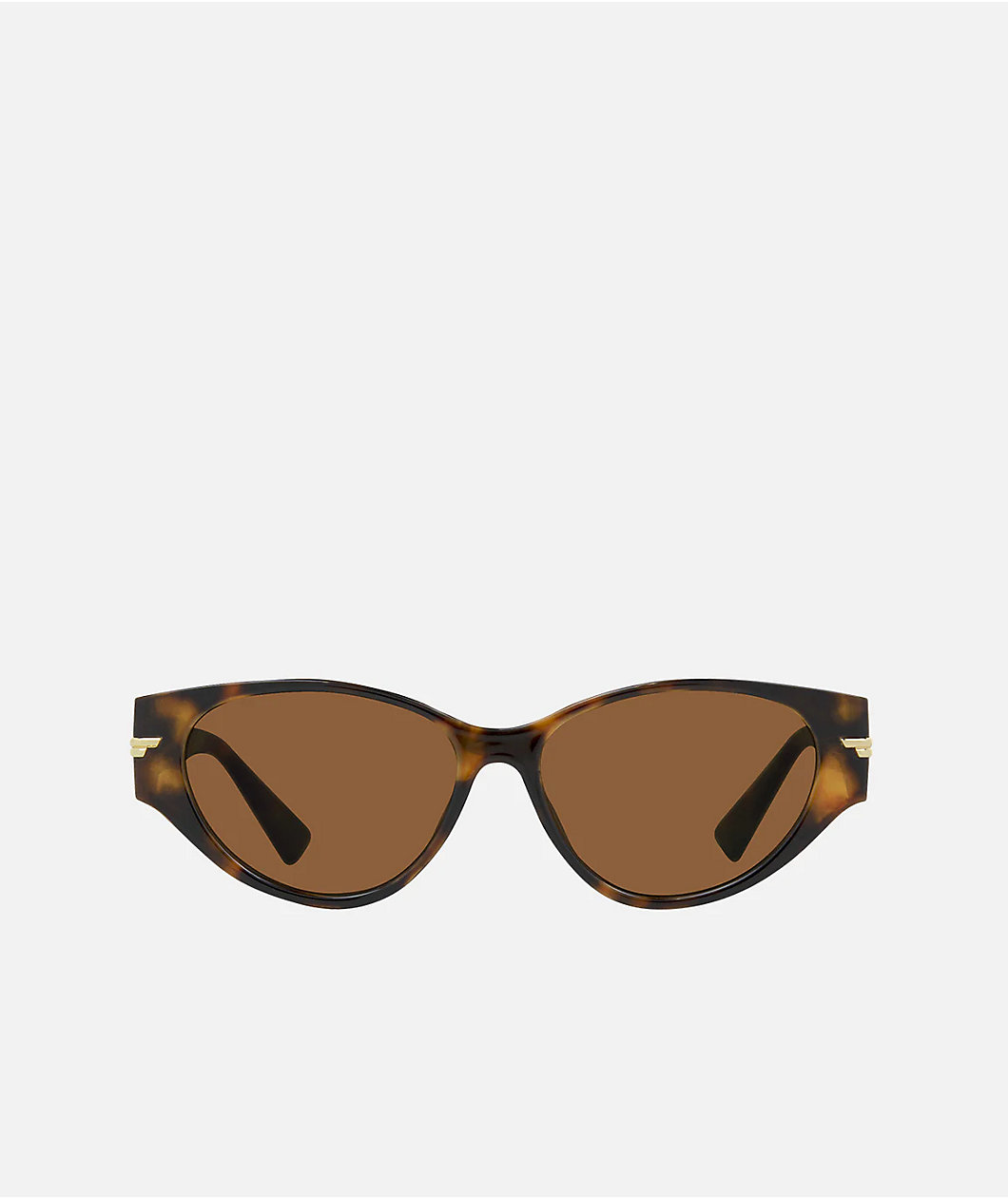 Carve Rhode Gloss Tortoise Shell & Brown Sunglasses