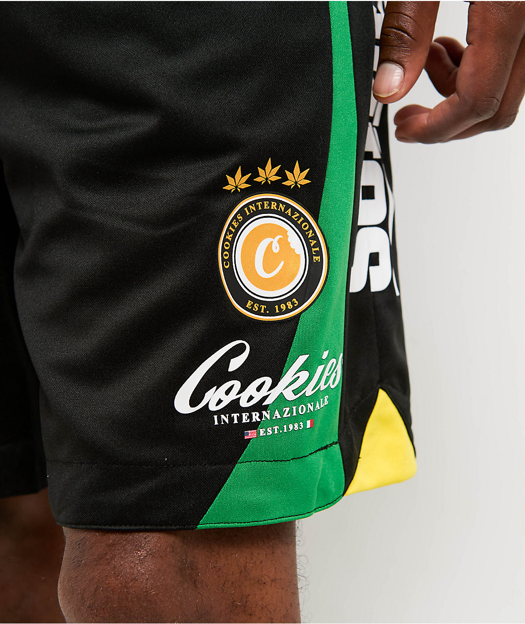Cookies Lake Como Black & Green Mesh Shorts
