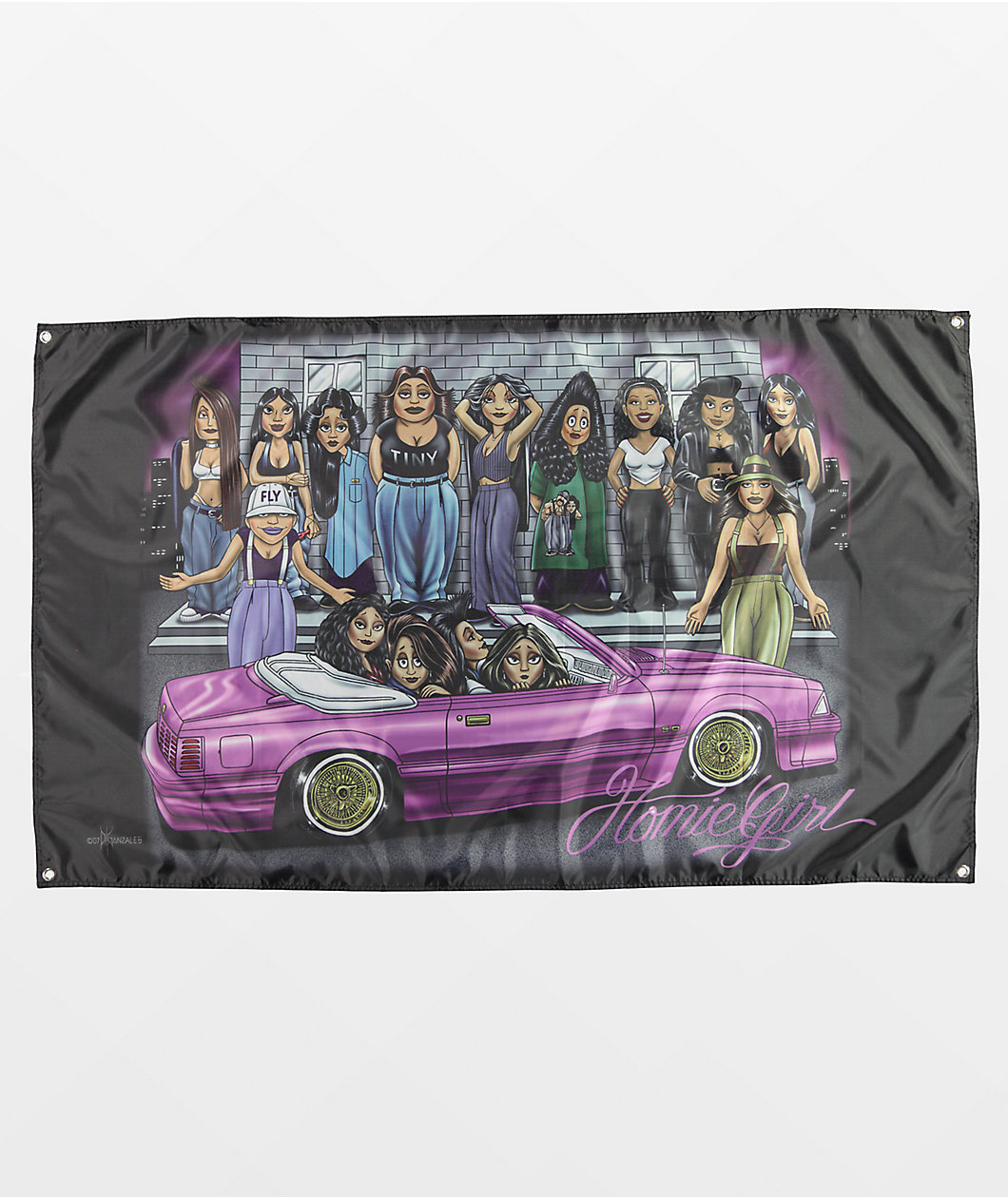 DGA Homies Girls Banner