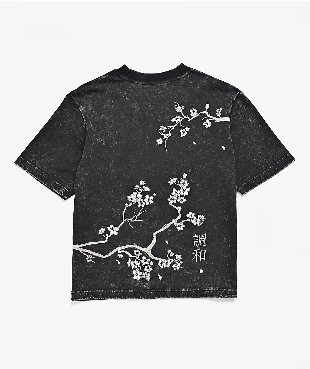 DGK Kids Eternity Black Wash T-Shirt
