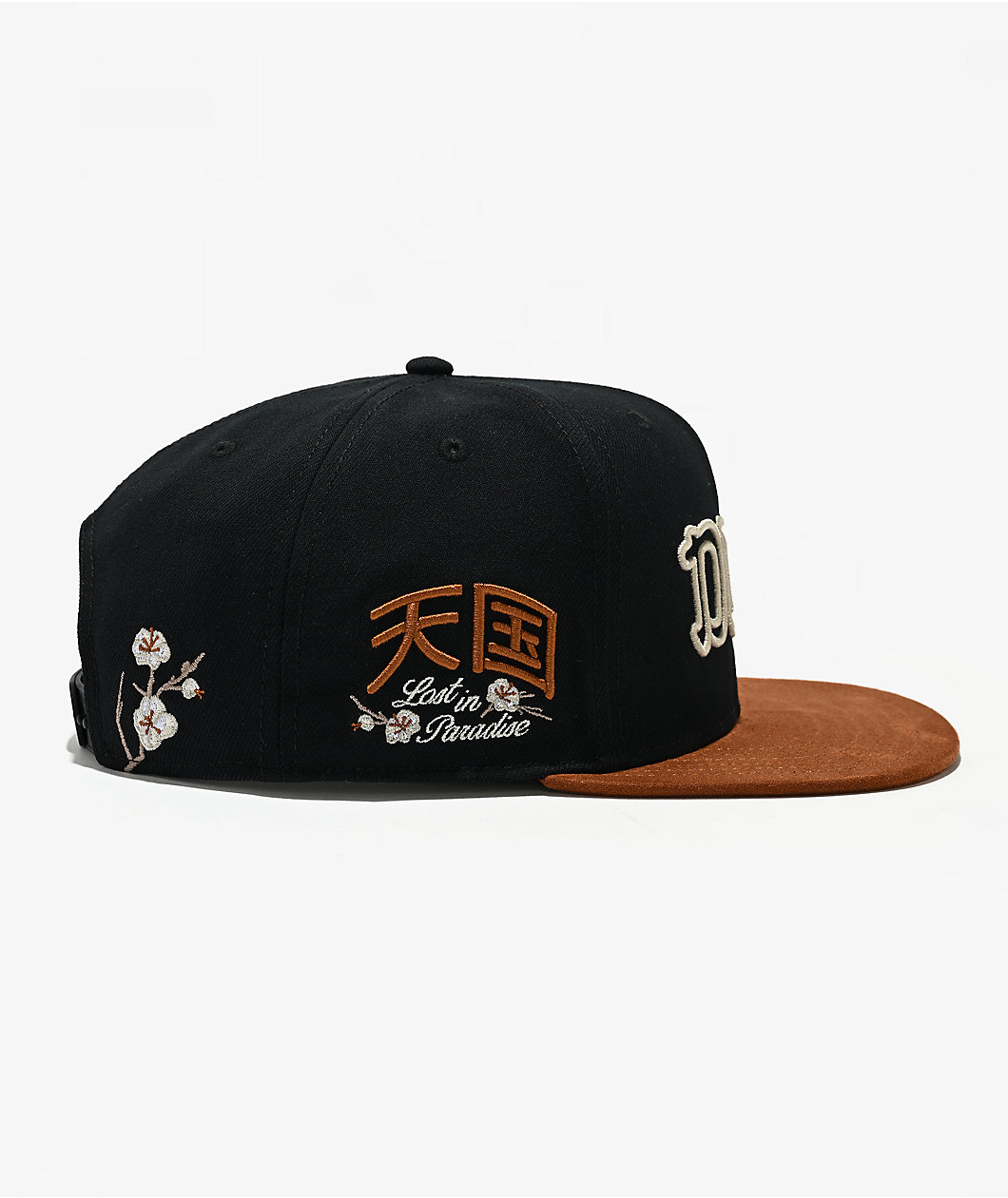 DGK Zion Black Snapback Hat