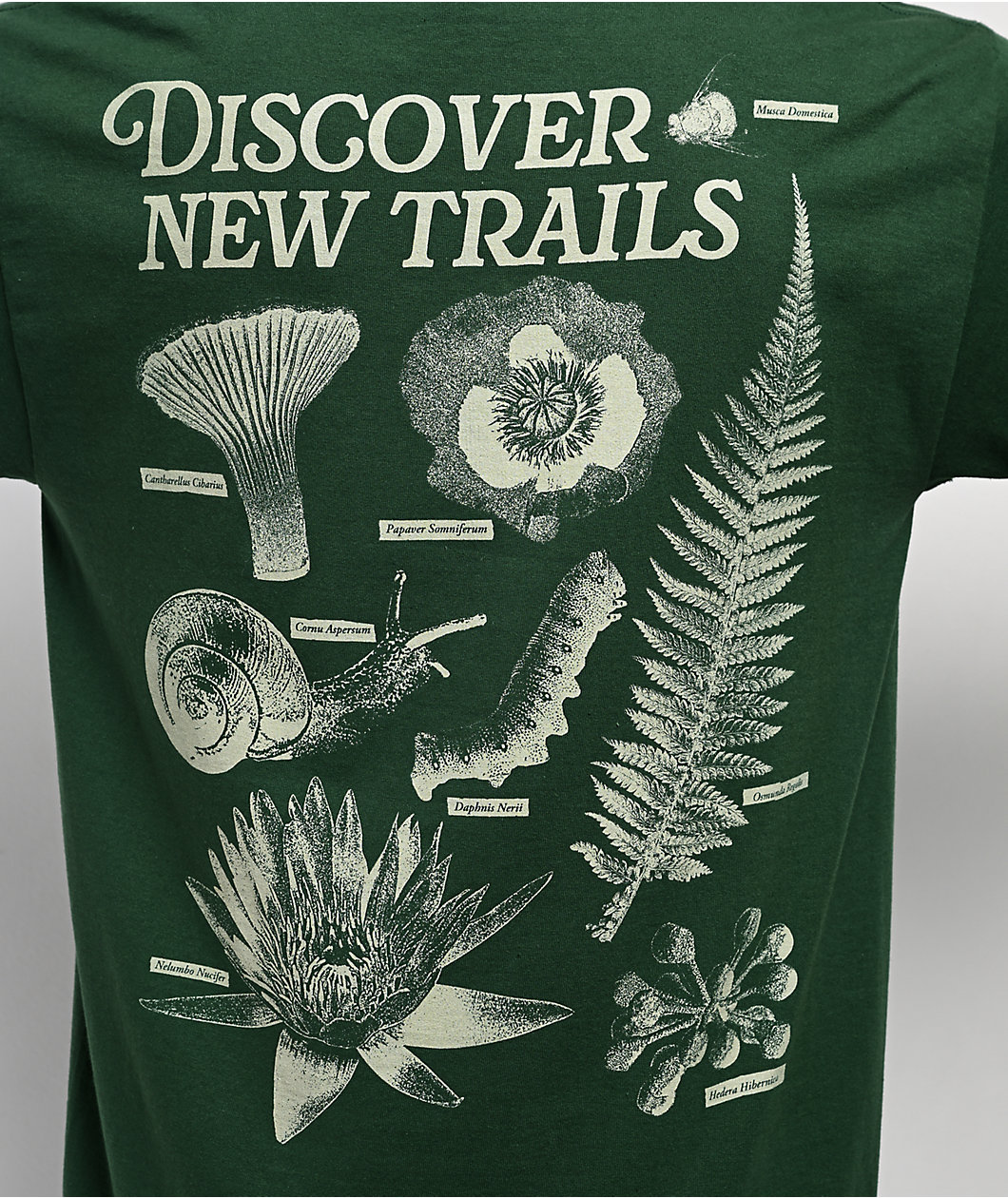 Dravus Grounded Green T-Shirt