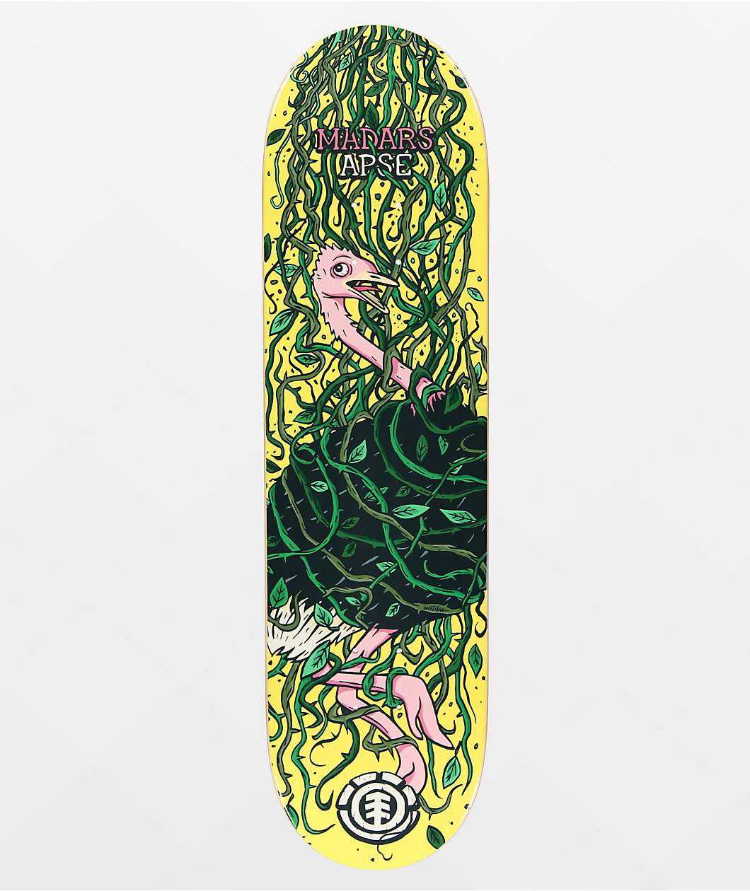 Element Madars Trapped 8.38" Skateboard Deck