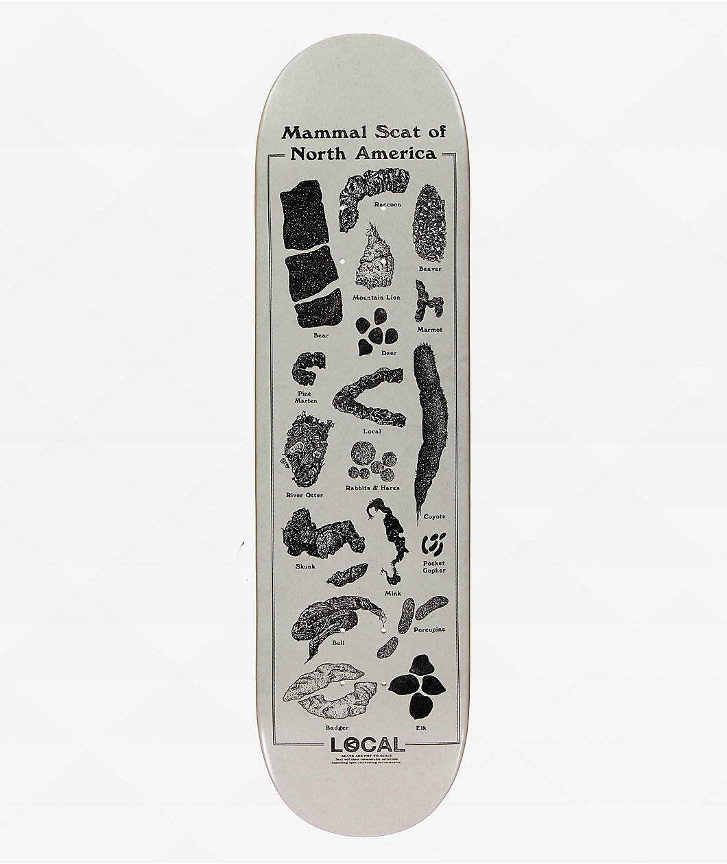 Less Than Local Scat 8.5" Skateboard Deck