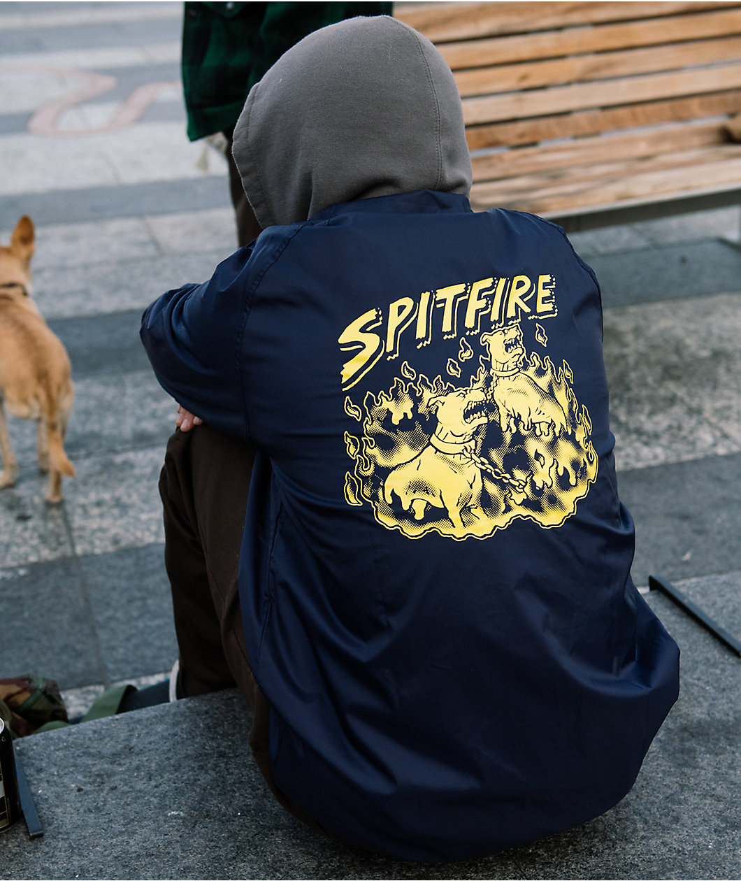 Spitfire Hell Hounds Navy Coaches Jacket