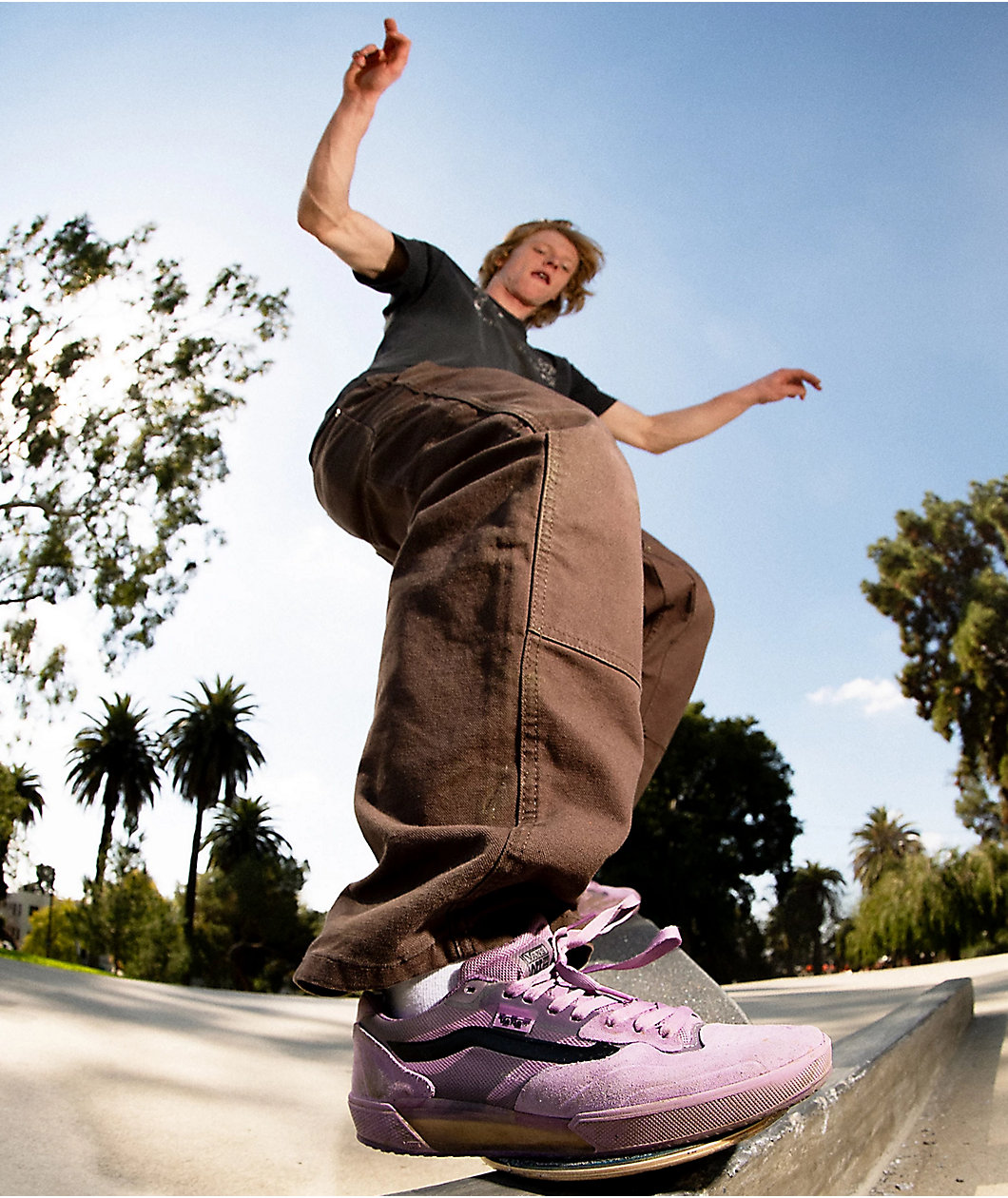 Vans AVE 2.0 Lavender Fog Skate Shoes