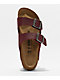 Birkenstock Women's Arizona Zinfandel Sandals - Thumbnail image 4 of 5