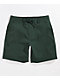 Coal Tenmile Green Board Shorts - Thumbnail image 1 of 4