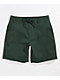 Coal Tenmile Green Board Shorts verdes