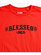 DGK Kids Glory Red T-Shirt - Thumbnail image 2 of 2
