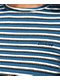 Dickies Blue Stripe Crop T-Shirt