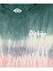 Dickies Green & Lilac Tie Dye Stripe Long Sleeve T-Shirt