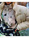 Dravus Aurora Cream Puffer Jacket - Thumbnail image 3 of 6