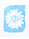Empyre Cyanotype Daisy White T-Shirt - Thumbnail image 3 of 3