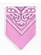 Empyre Paisley Pink Bandana - Thumbnail image 1 of 3