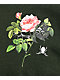 Empyre Spider Rose Green Long Sleeve T-Shirt - Thumbnail image 3 of 4