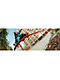 Epic Dash Grey Grind Shoes - Thumbnail image 7 of 8