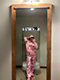 FB County Graffiti Pink Cargo Sweatpants - Thumbnail image 10 of 10