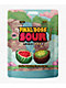 Final Boss Sour Level 3 Watermelon Kiwi Fruit Candy - Thumbnail image 1 of 4