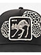 Goorin Bros. Dia De Michi Black Trucker Hat - Thumbnail image 3 of 4