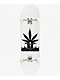 Jacuzzi Weedstar 8.25" Assembled Skateboard Complete - Thumbnail image 1 of 2
