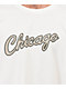 Mitchell & Ness x NBA Bulls Cream T-Shirt - Thumbnail image 2 of 3