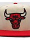 Mitchell & Ness x NBA Chicago Bulls Natural Snapback Hat