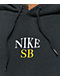 Nike SB Arch Black Hoodie - Thumbnail image 3 of 3
