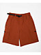 Nike SB Dri-FIT Kearny Cinnamon & White Cargo Skate Shorts - Thumbnail image 6 of 7