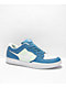 Nike SB Force 58 Dutch Zapatos de skate de cuero azul, verde y blanco