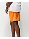 Nike SB Novelty Curry shorts chino