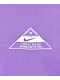 Nike SB Trademark Logo Purple T-Shirt - Thumbnail image 2 of 2