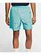 Nike SB Water Light Dew Elastic Waist Board Shorts - Thumbnail image 1 of 2