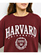 Park Fields Harvard Arch Seal Maroon T-Shirt - Thumbnail image 2 of 2