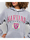 Park Fields Harvard Collegiate Grey Hoodie - Thumbnail image 3 of 3