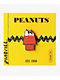 Pintrill Snoopy & Woodstock House Enamel Pin - Thumbnail image 2 of 3