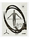 Quasi Jaeb Window 8.375" Skateboard Deck - Thumbnail image 4 of 4