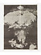 Quasi Rowe Point Break 8.5" Skateboard Deck - Thumbnail image 3 of 3
