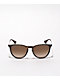 Ray-Ban Erika Havana Brown Sunglasses