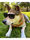 Ray-Ban Justin Black Rubber Polarized Sunglasses