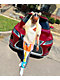 Salem7 Motocross Colorblock Jogger Pants - Thumbnail image 3 of 6