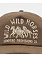 Sendero Wild Wild Horses Brown Snapback Hat - Thumbnail image 3 of 4