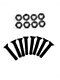 Shorty's Lil 1.25 tornillos skate