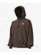 The North Face Evolution Simple Dome Brown Hoodie - Thumbnail image 3 of 4