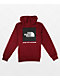 The north Face Never Stop Exploring Cordovan & Black Hoodie